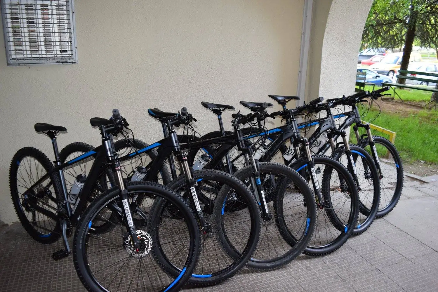Row of rental mountain bikes