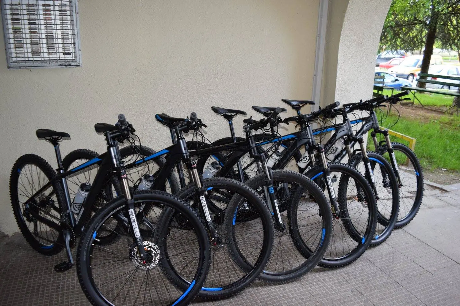 Row of rental mountain bikes