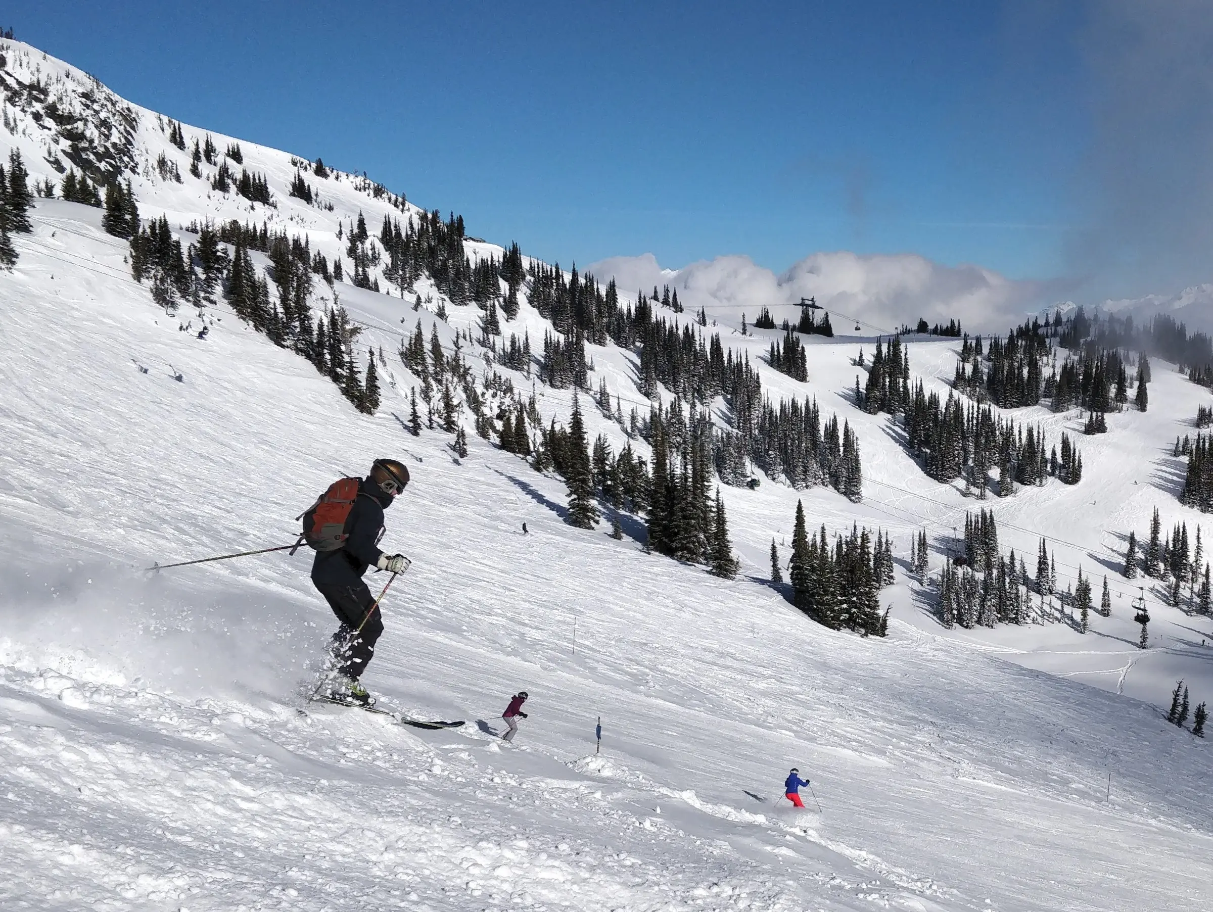 Skier riding off the piste between snowy trees