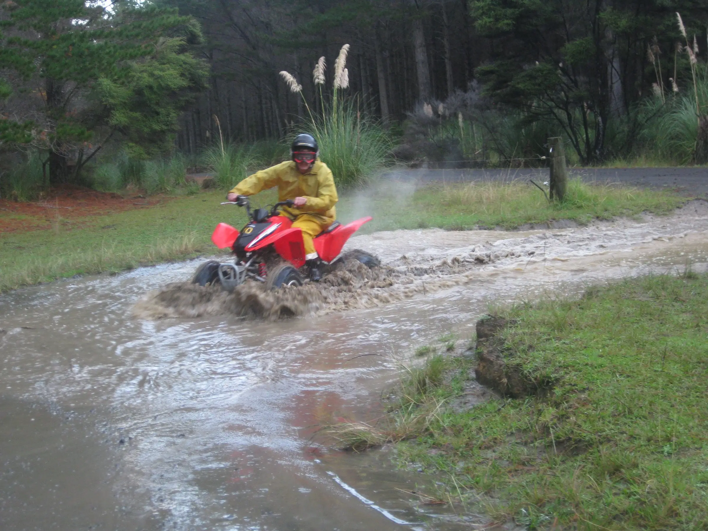 Quad rider splashing through a puddle in the forest