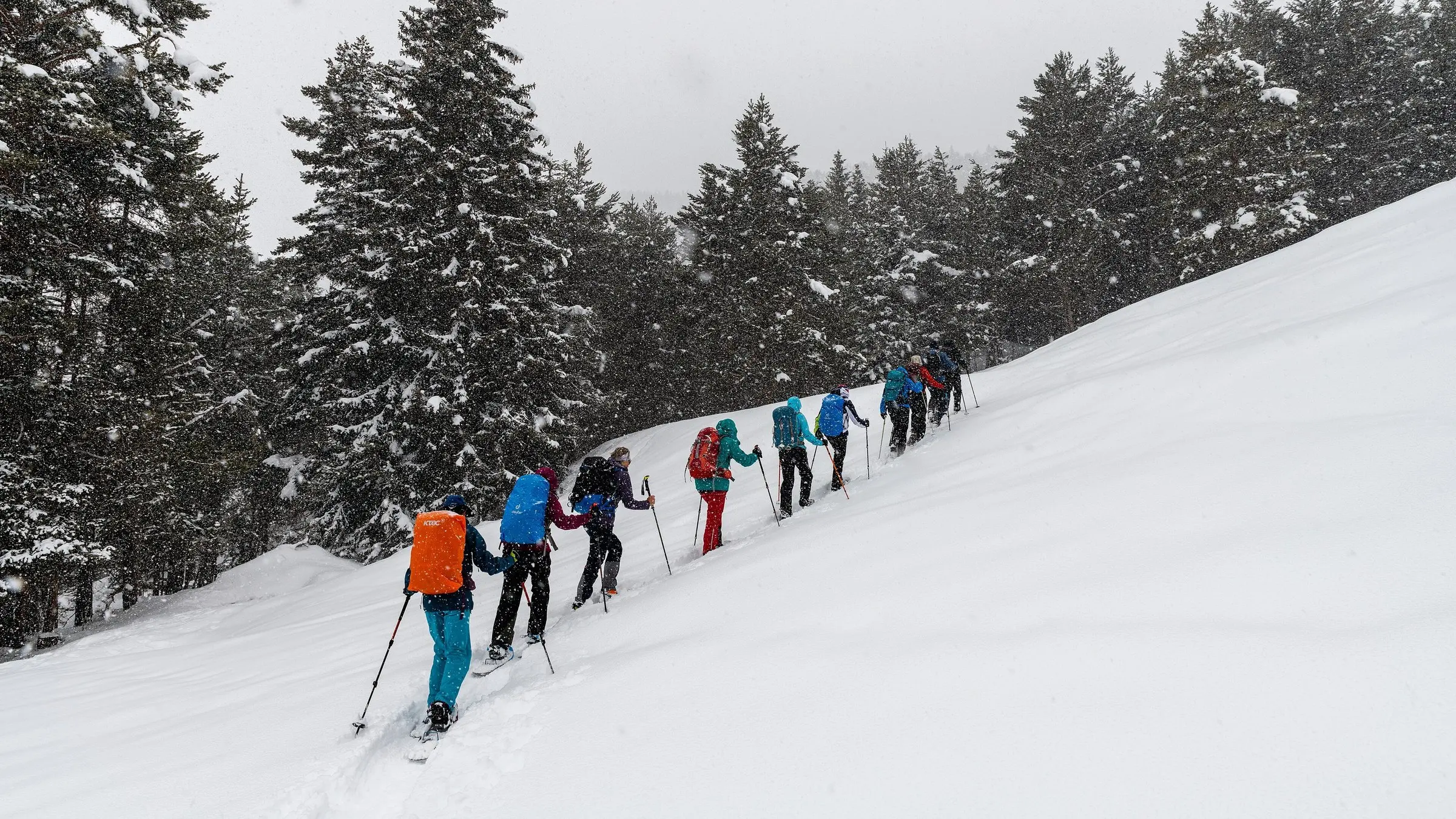 Group on snowshoes climbing a snowy slope