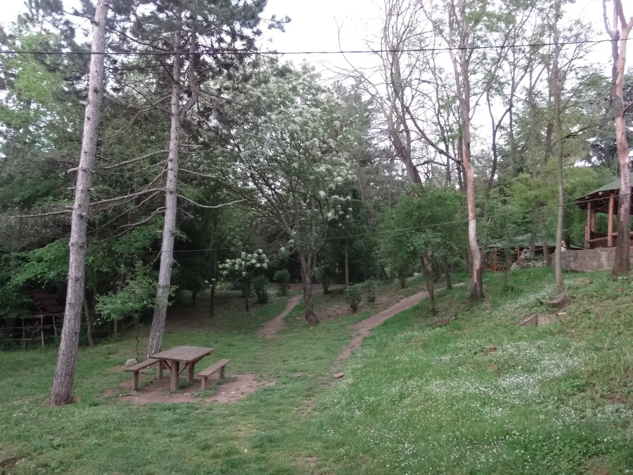 Forest path with picnic tables on Vodno