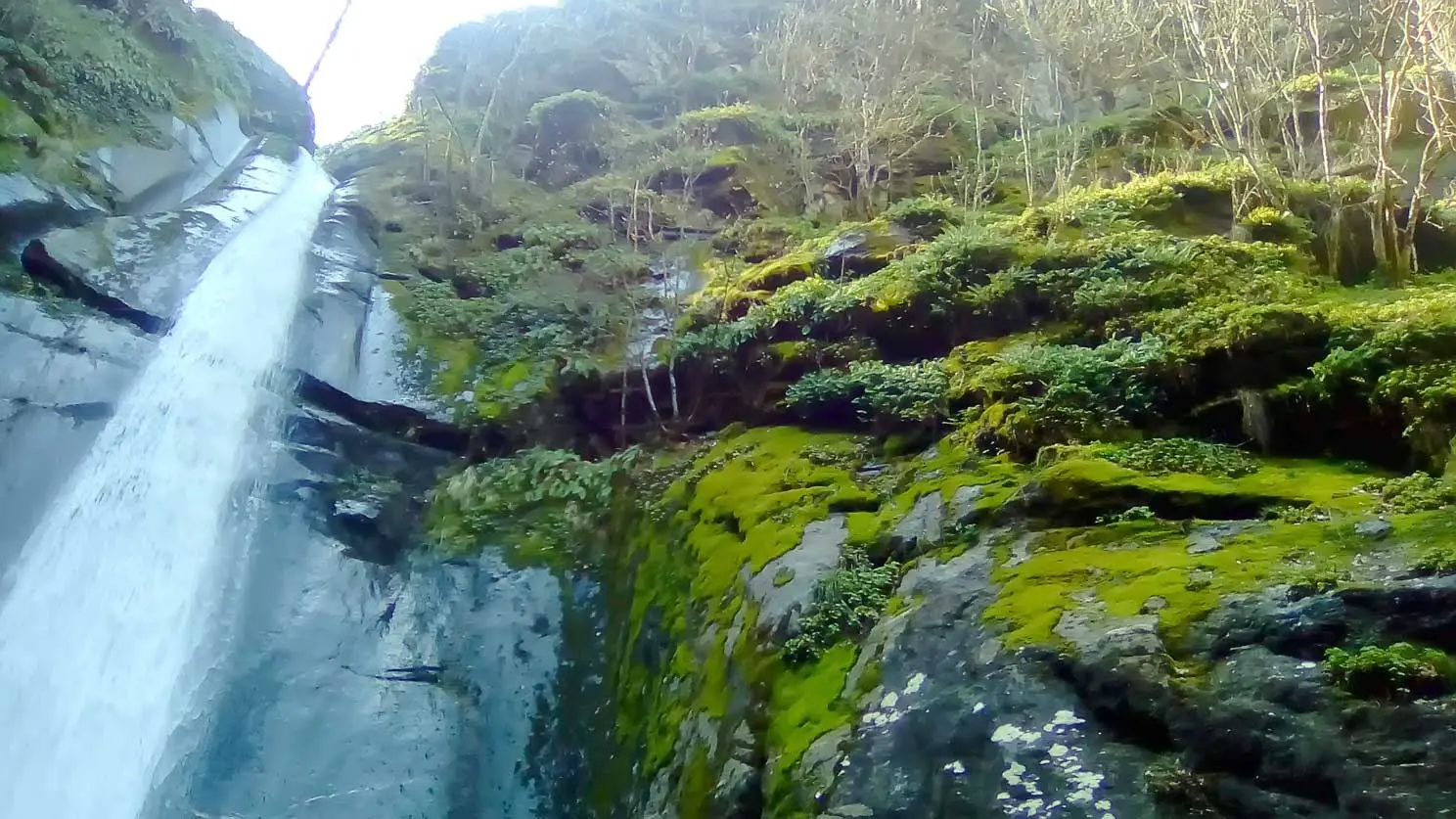 Waterfall in a mossy gorge